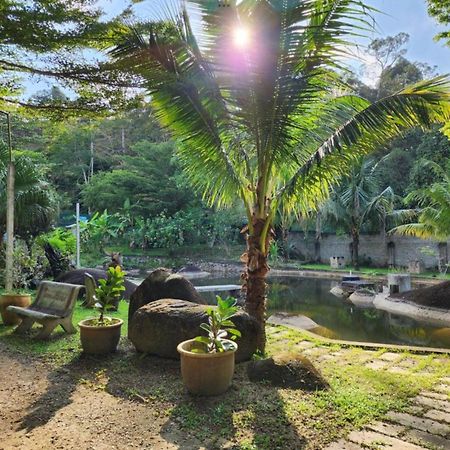 Rock Forest Chalet Bentong Exterior foto